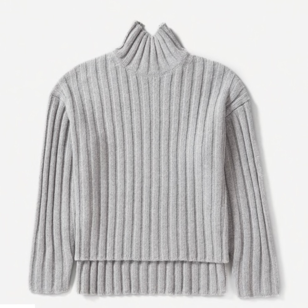 Everlane Wool Cashmere Rib Oversized Turtleneck